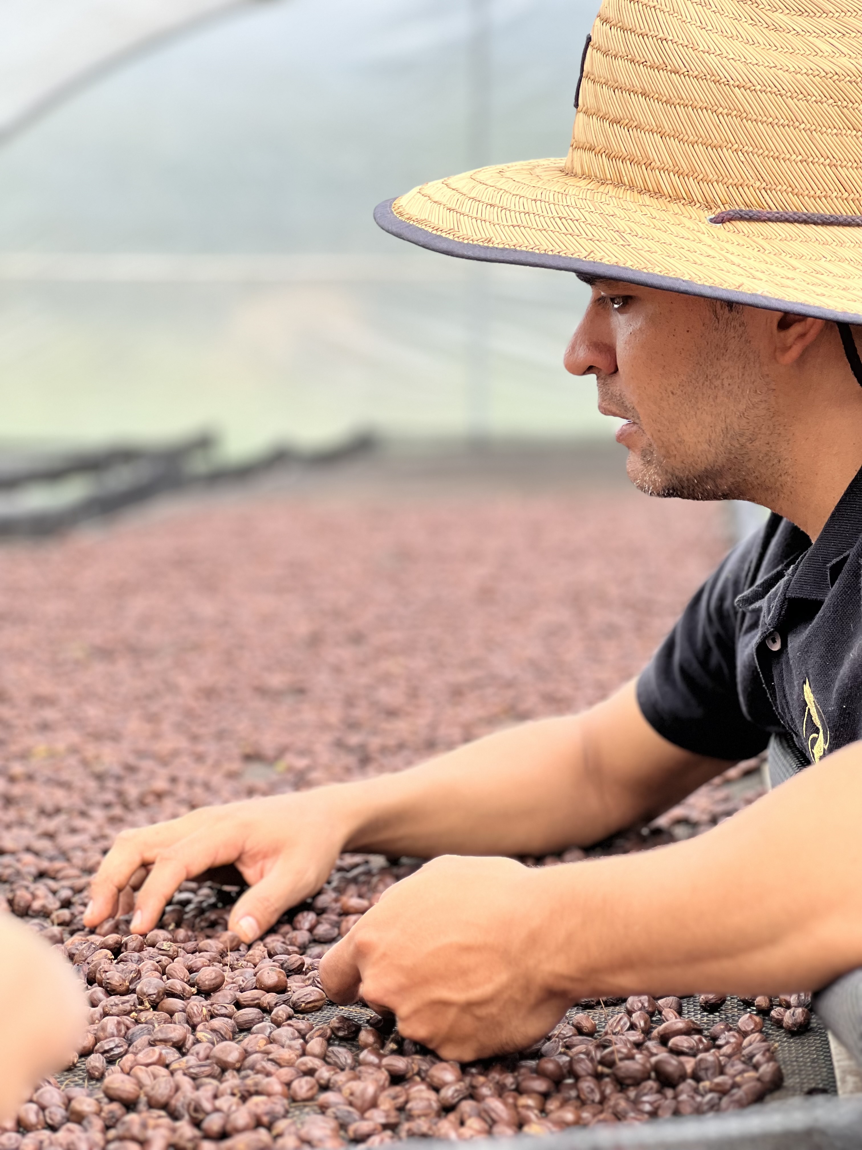 Productor aliado — finca